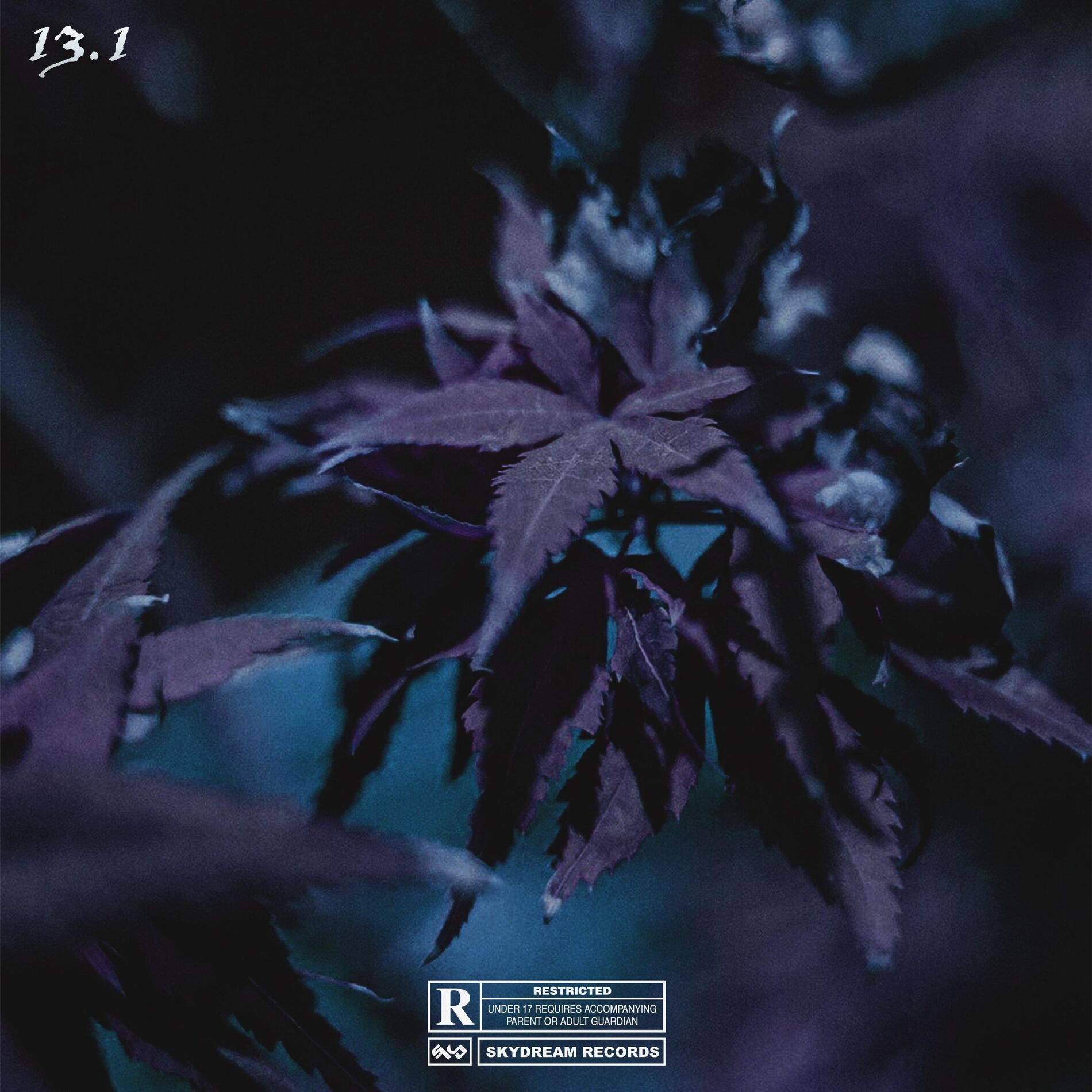 Album cover of Marie Jane