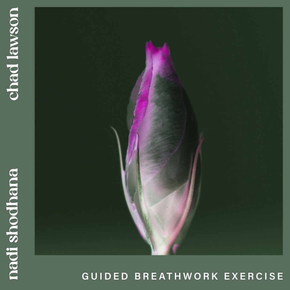 Album cover of nadi shodhana (guided breathwork exercise)