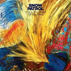 Cover of This Is The Sound Of Your Voice