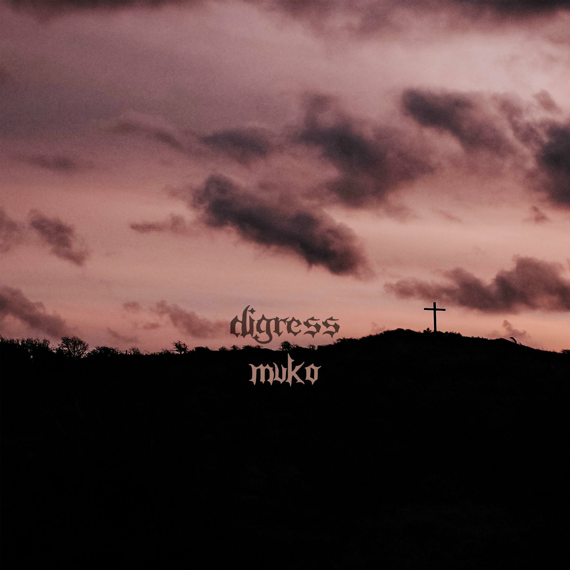Album cover of DONNIE BOI (feat. Mvko)