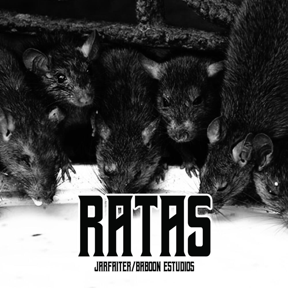 Picture of Ratas
