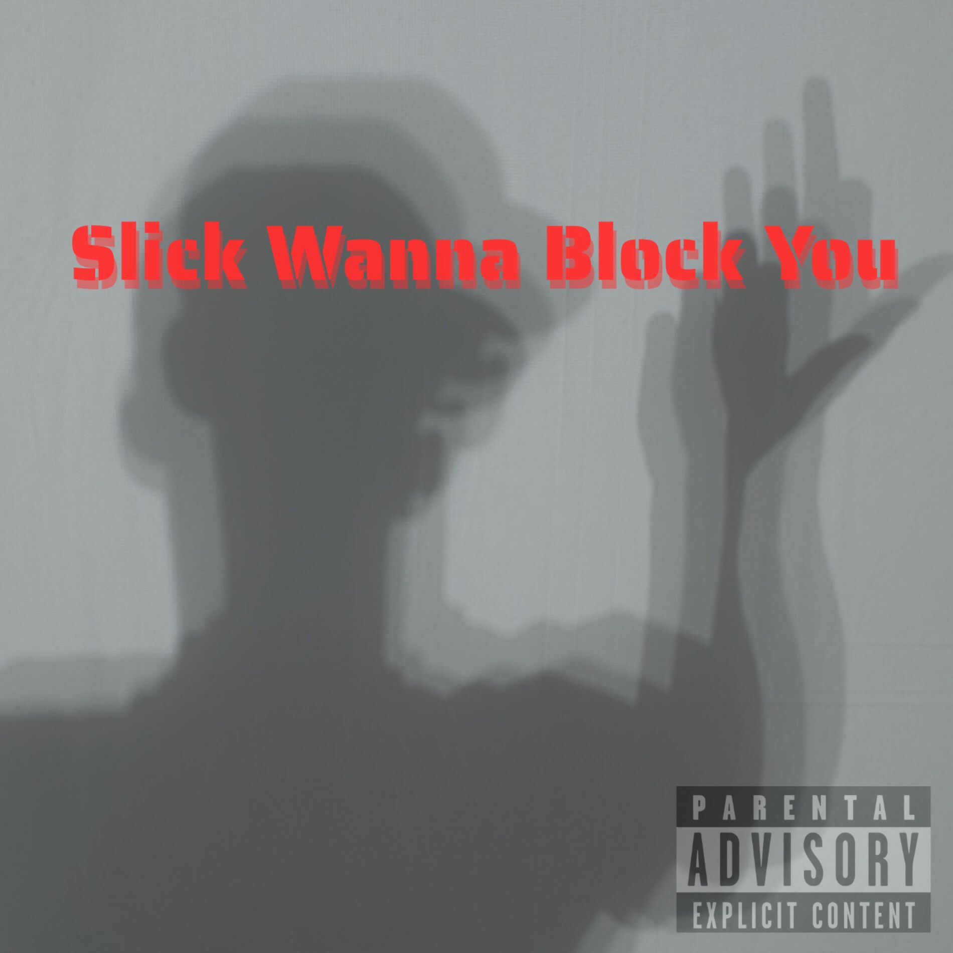 Album cover of Slick Wanna Block You