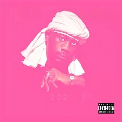 Cover of 222