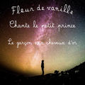 le petit prince (Le gar&ccedil;on au cheveux d'or)
