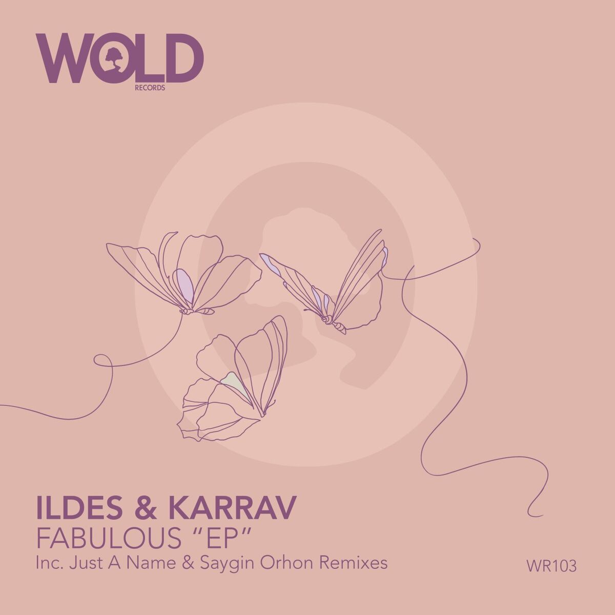 Album cover of Fabulous