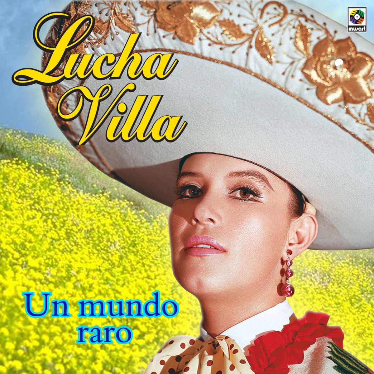 Album cover of Un Mundo Raro