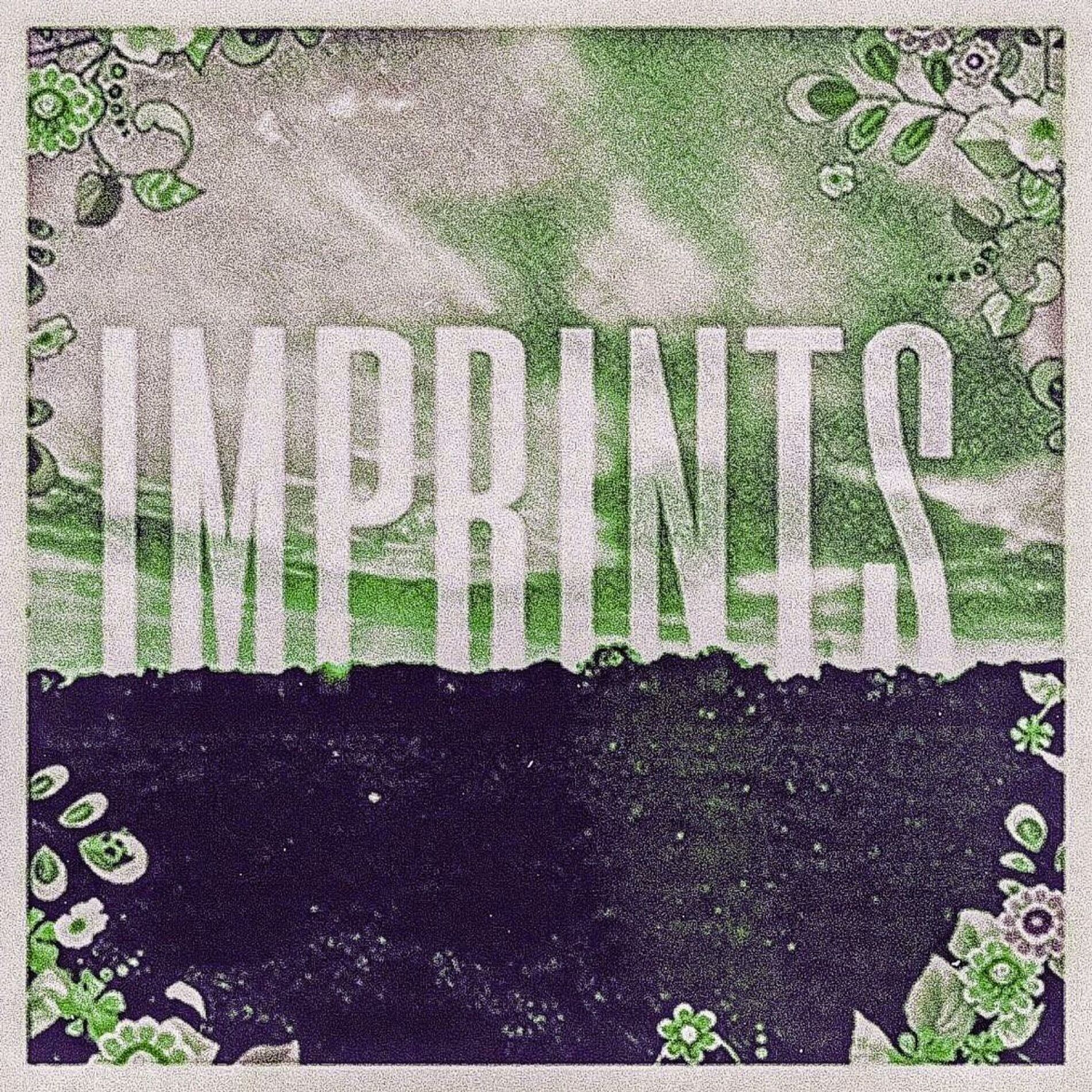 Album cover of imprints (Instrumental)