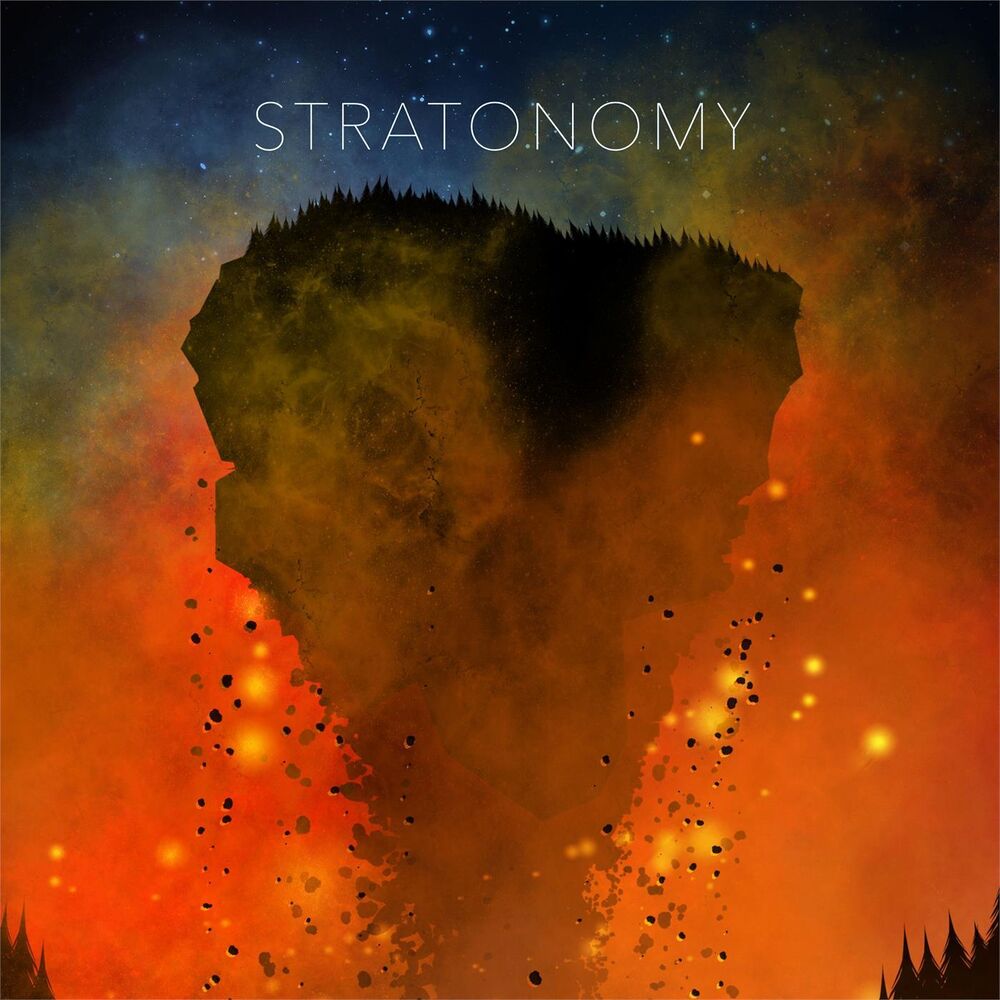 Picture of Stratonomy