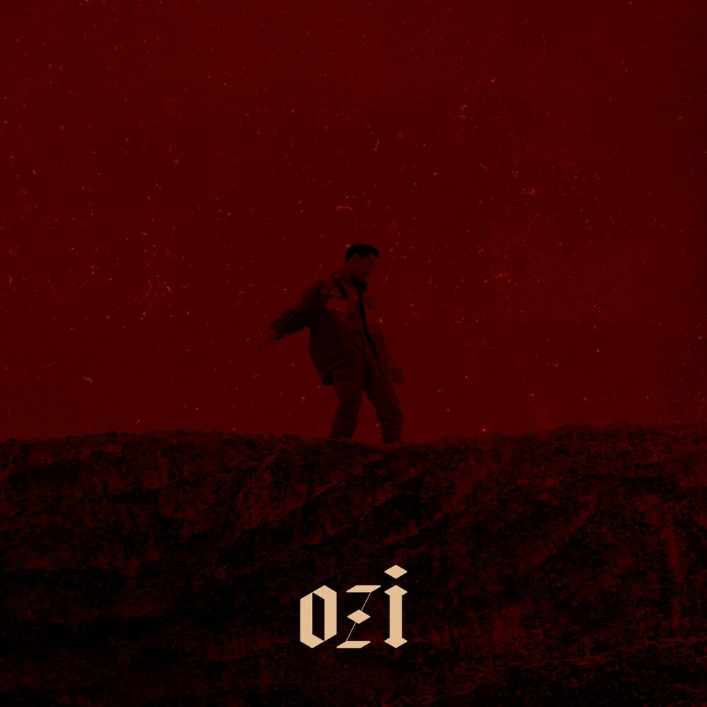 Picture of ØZI: The Album
