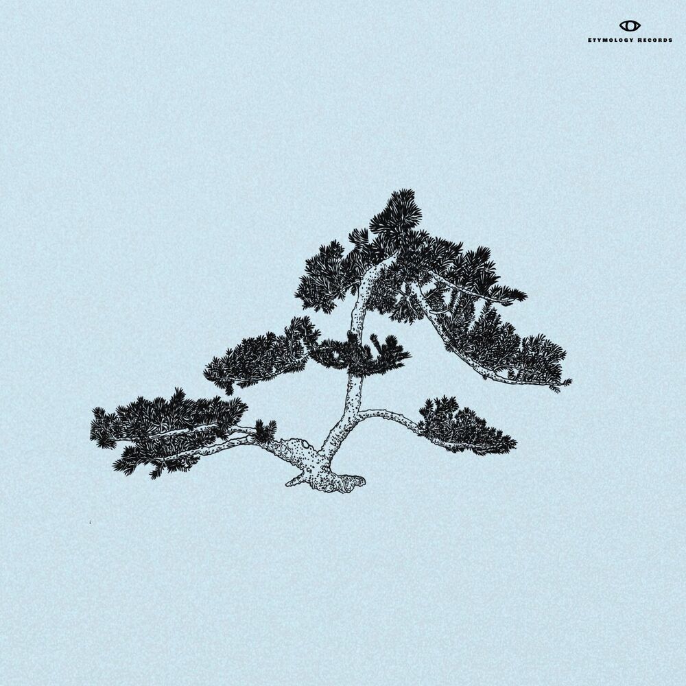 Picture of Juniper