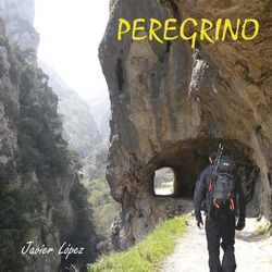 Cover of Peregrino