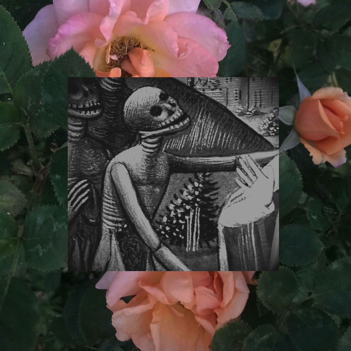 Album cover of The Killing of a Giant