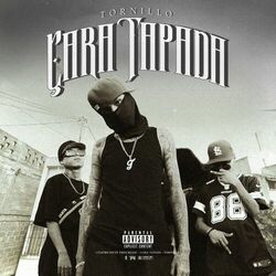 Cover of Cara Tapada
