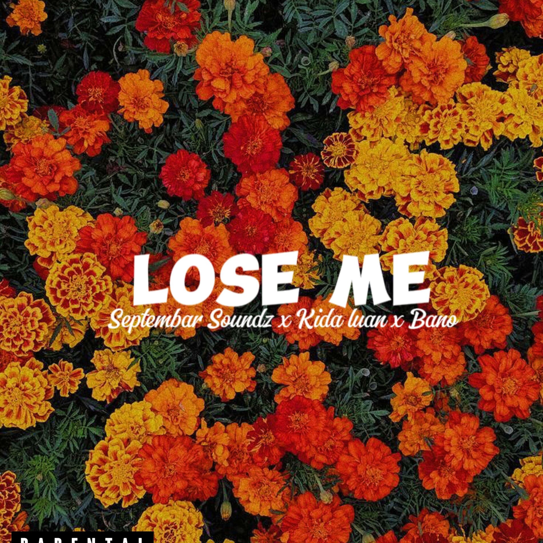 Album cover of Lose Me (feat. Kida Luan & Bano)