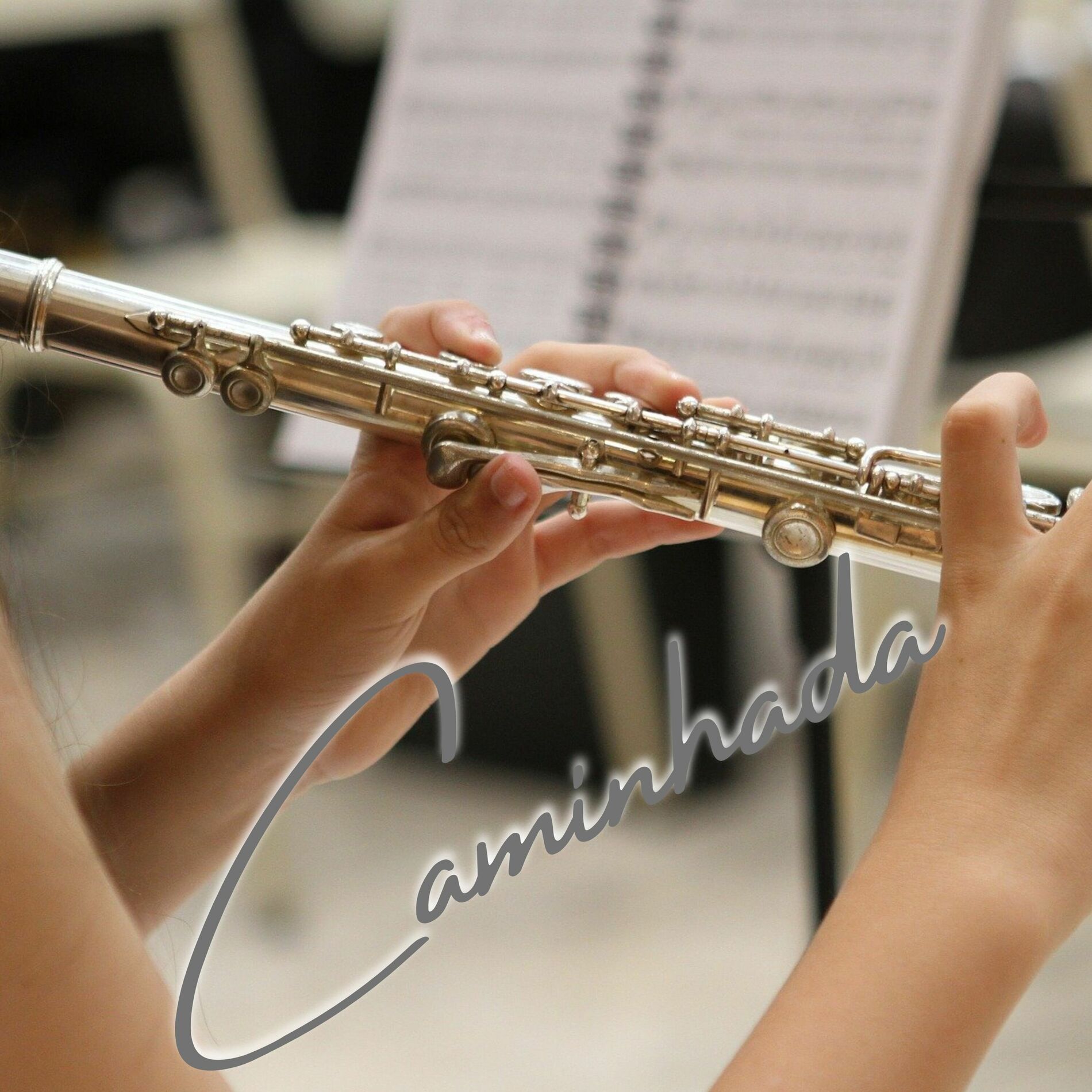 Album cover of Caminhada