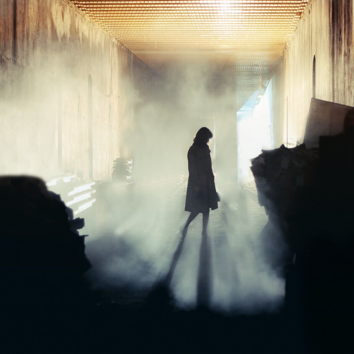 Album cover of Agenten Horrorstory