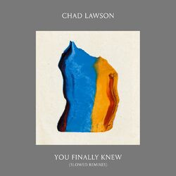 Cover of You Finally Knew (Slowed Remixes)