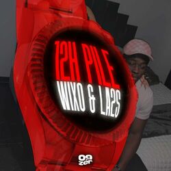 Cover of 12H PILE