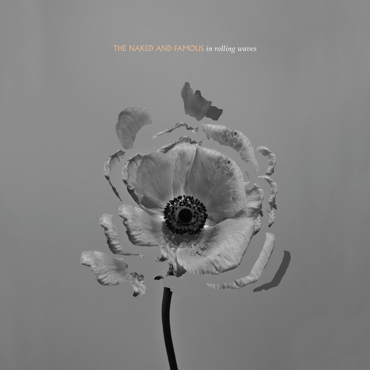Album cover of Rolling Waves