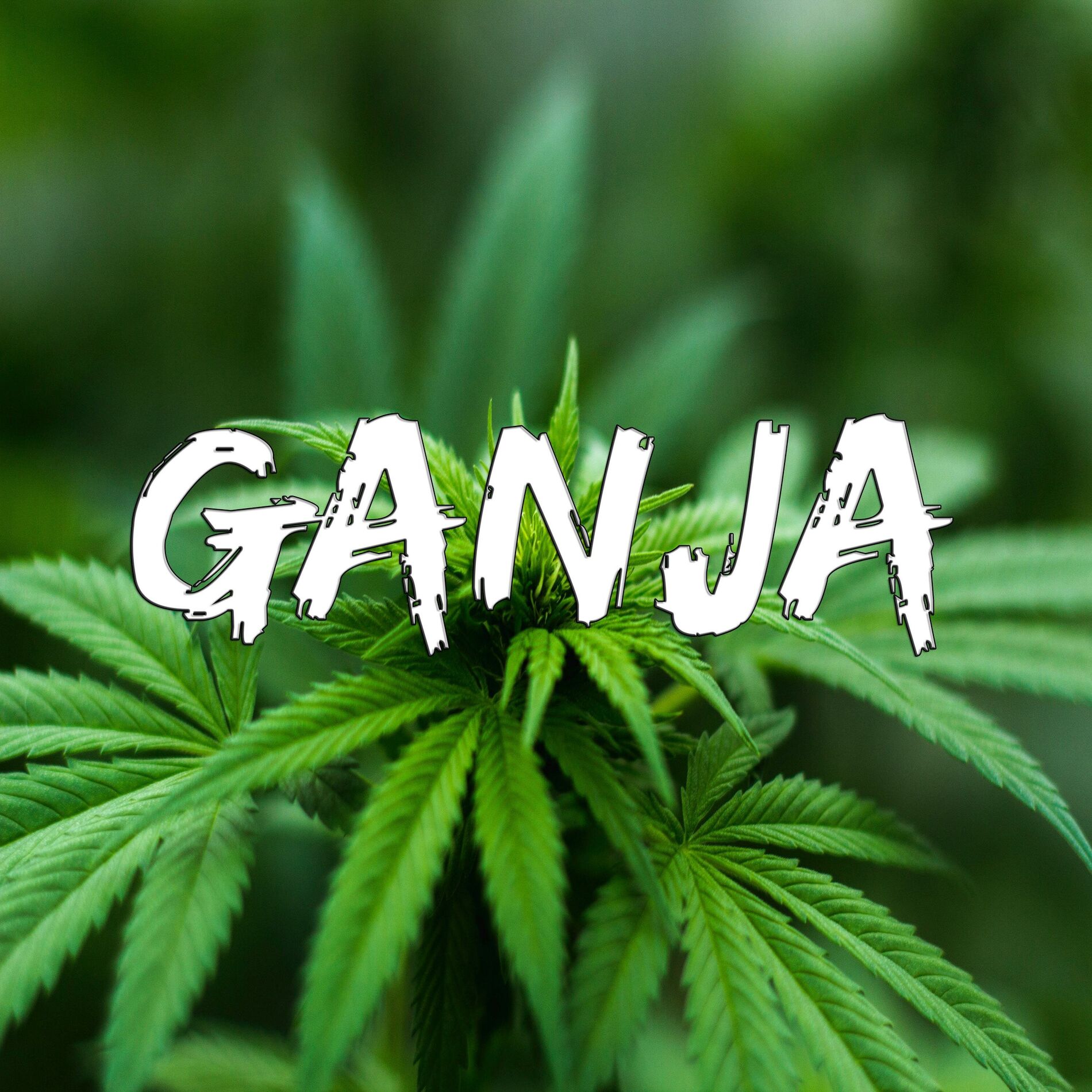Album cover of Ganja (feat. Atômico Mc)