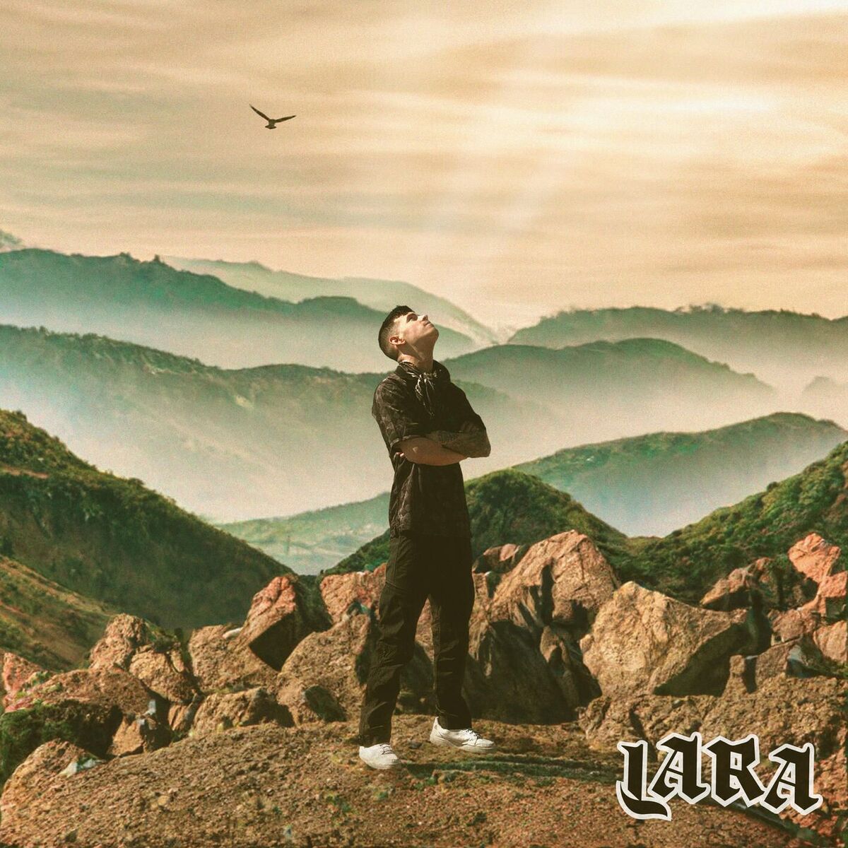 Album cover of KNOCKED DOWN