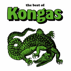 Cover of The Best Of Kongas