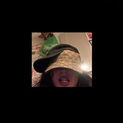 Cover of SWAGSKI