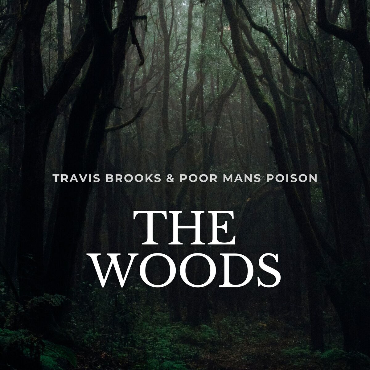 Album cover of The Woods