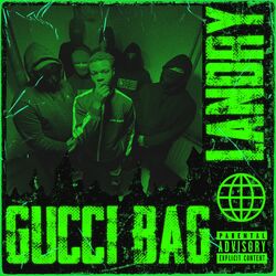 Cover of Gucci Bag