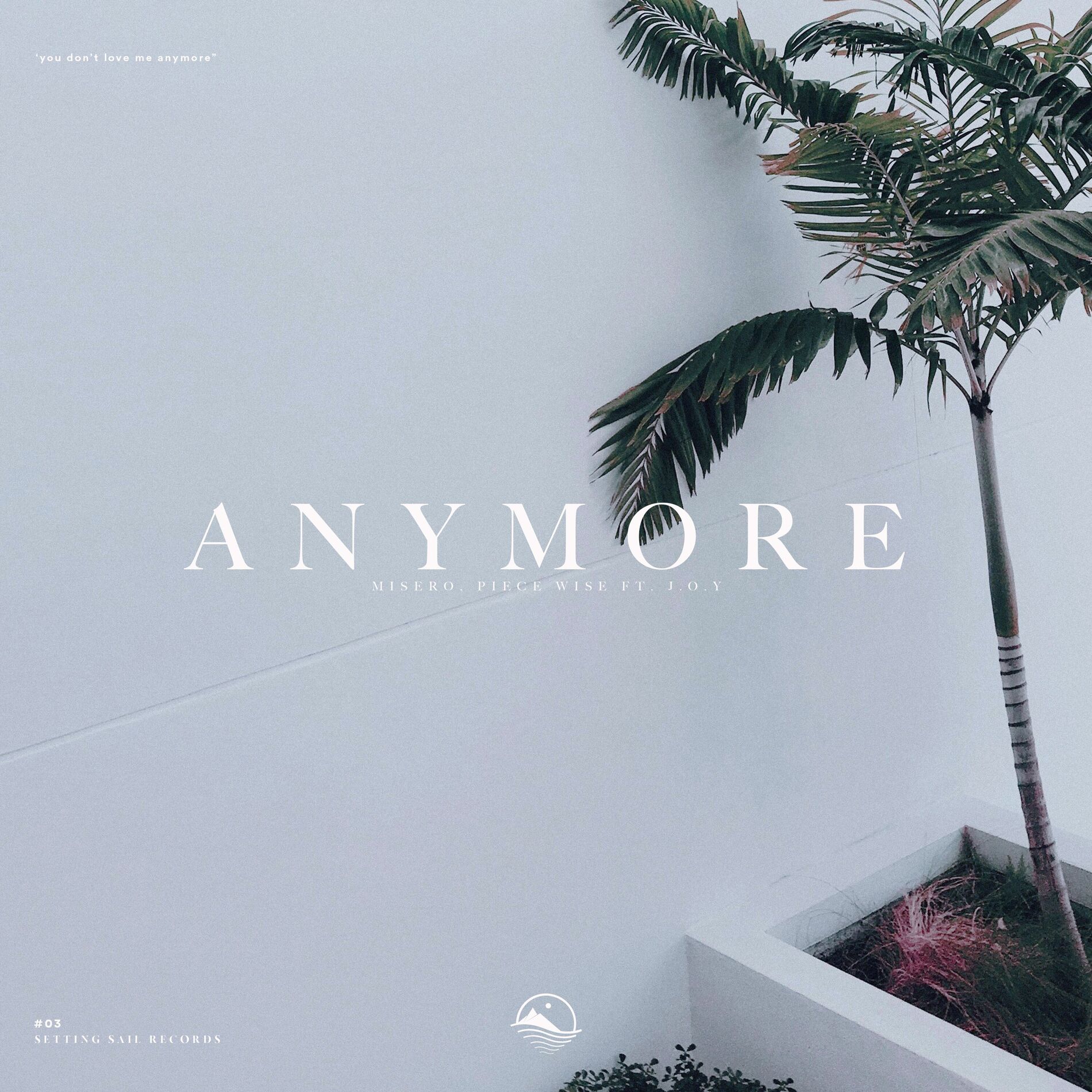Album cover of Anymore
