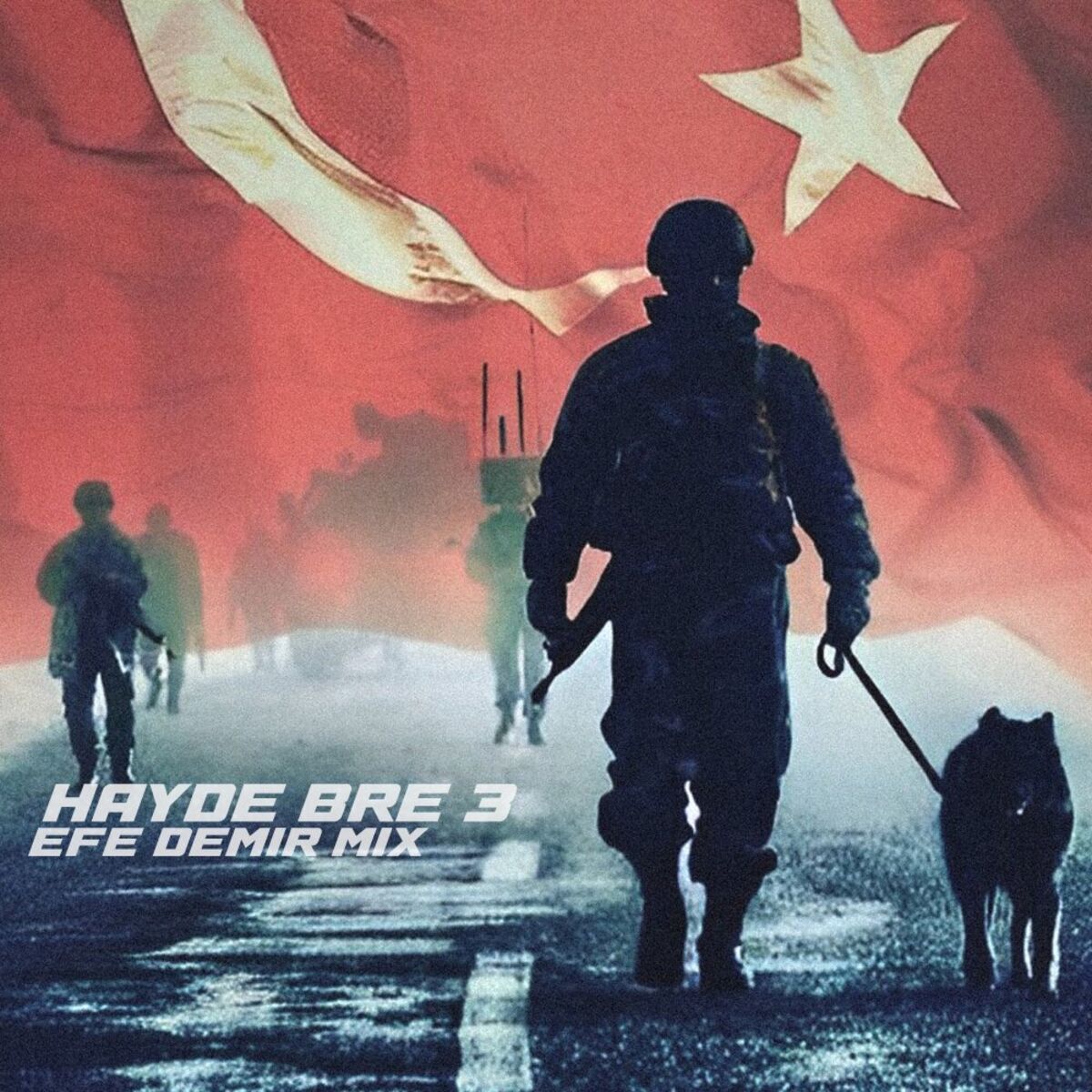 Album cover of Hayde Bre 3