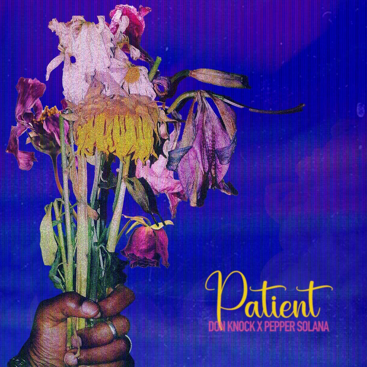 Album cover of Patient