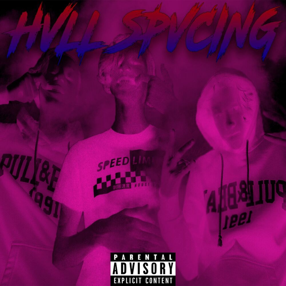 Picture of Hvll Spvcing