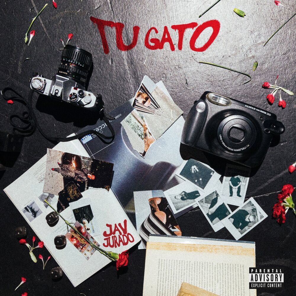 Picture of Tu Gato