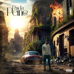 Cover of Pas la peine