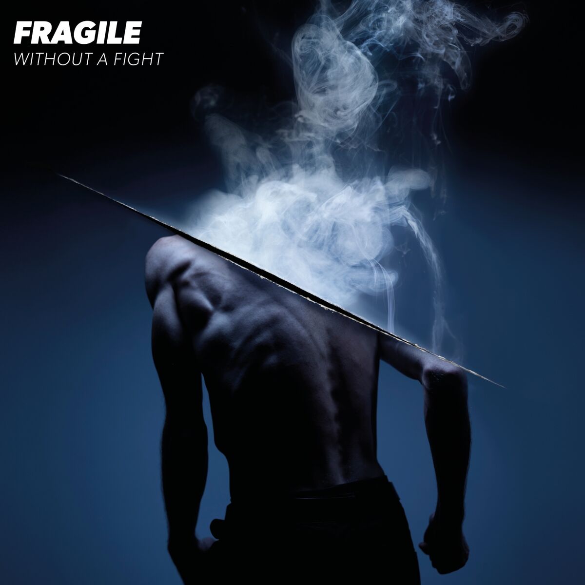 Album picture of Without a Fight