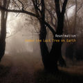 Under the Last Tree On Earth