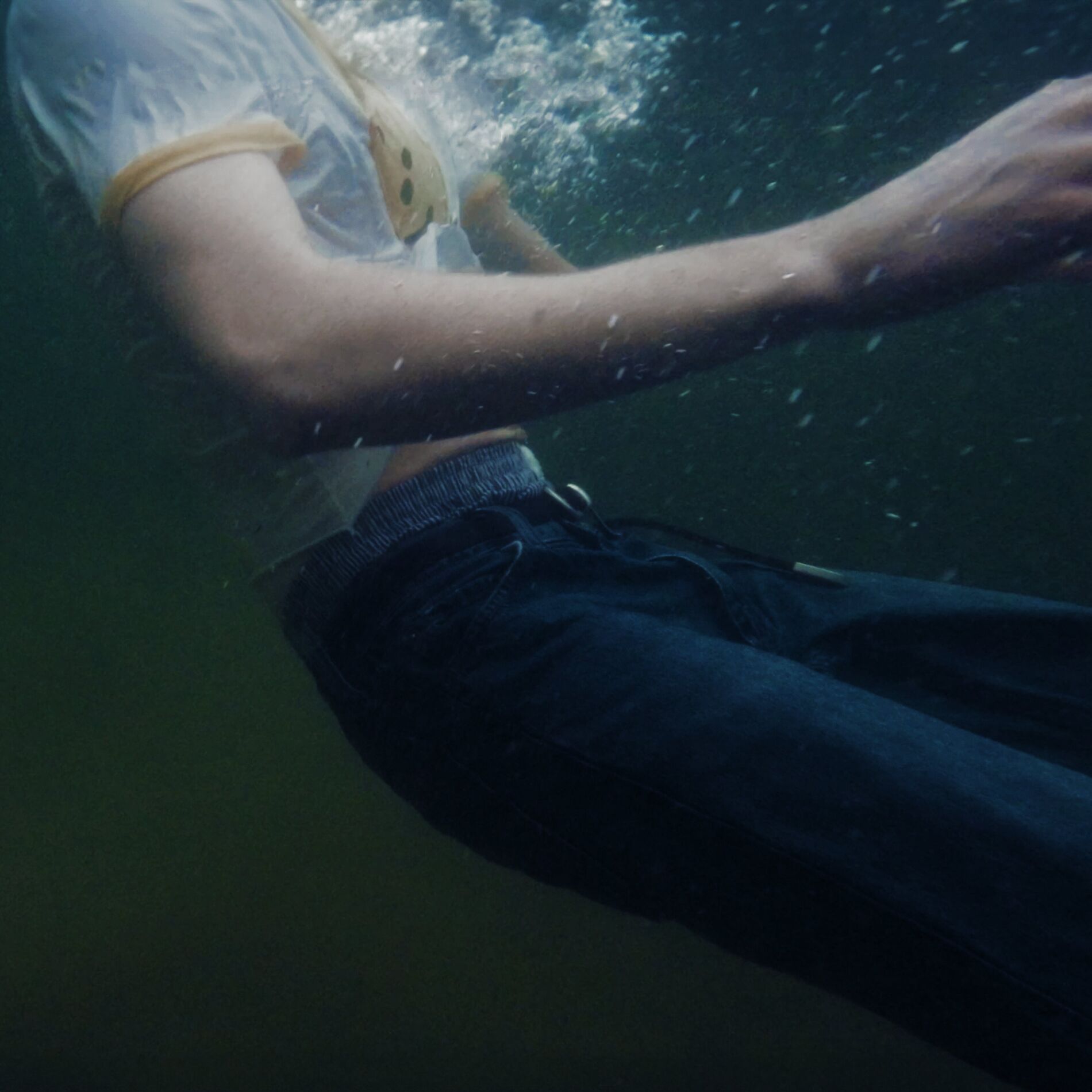 Album cover of Tauchen