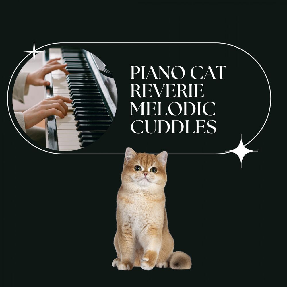 Picture of Piano Cat Reverie: Melodic Cuddles