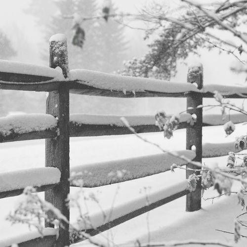 Evening With Snow by Thomas Andersen - 68 BPM