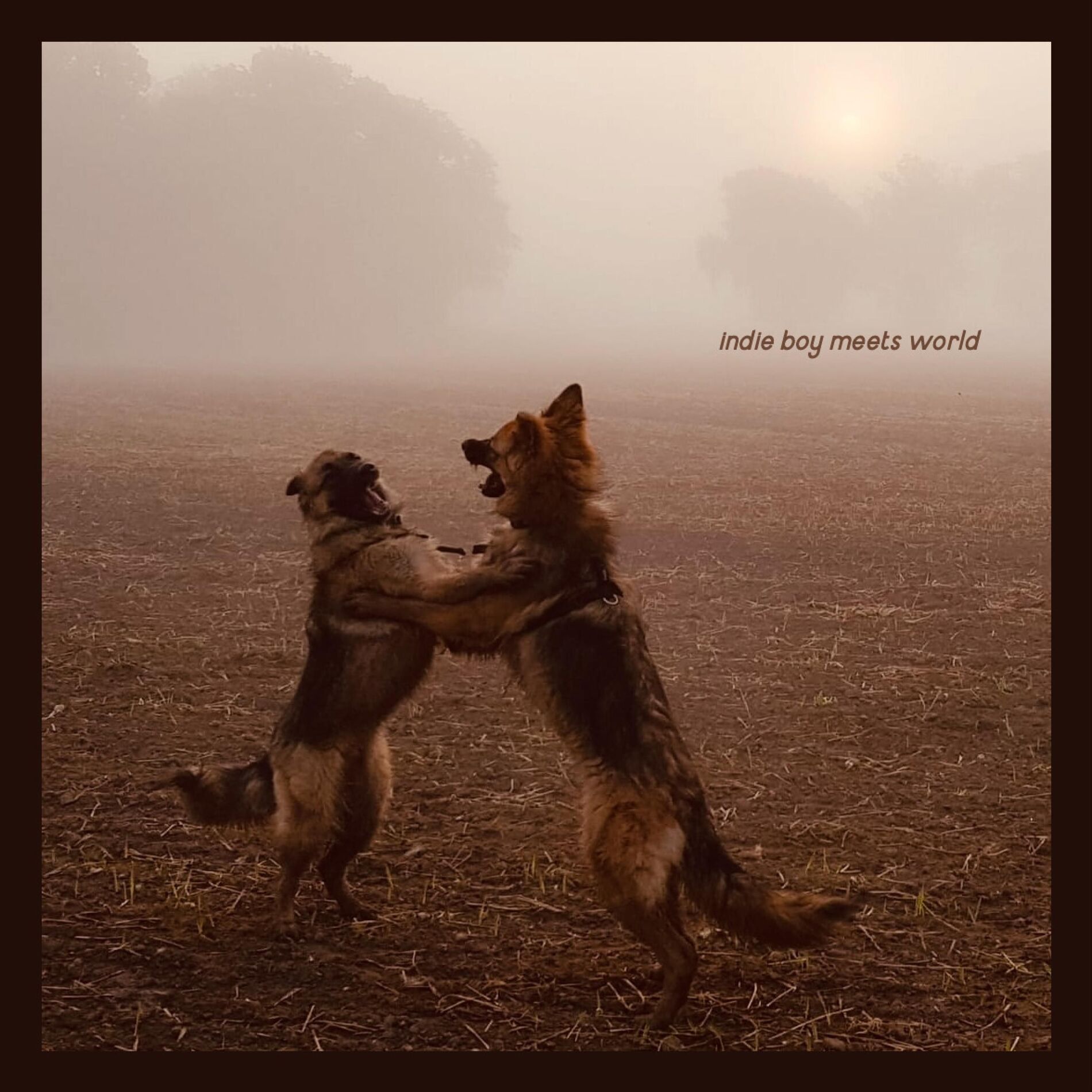 Album cover of indie boy meets world