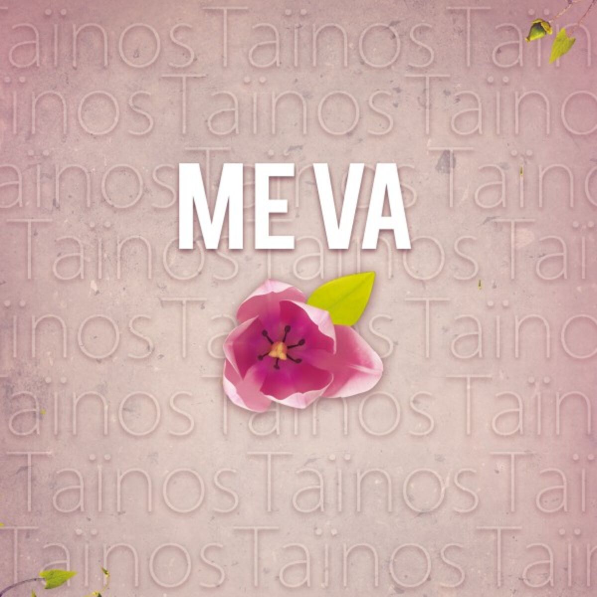 Album cover of Me Va