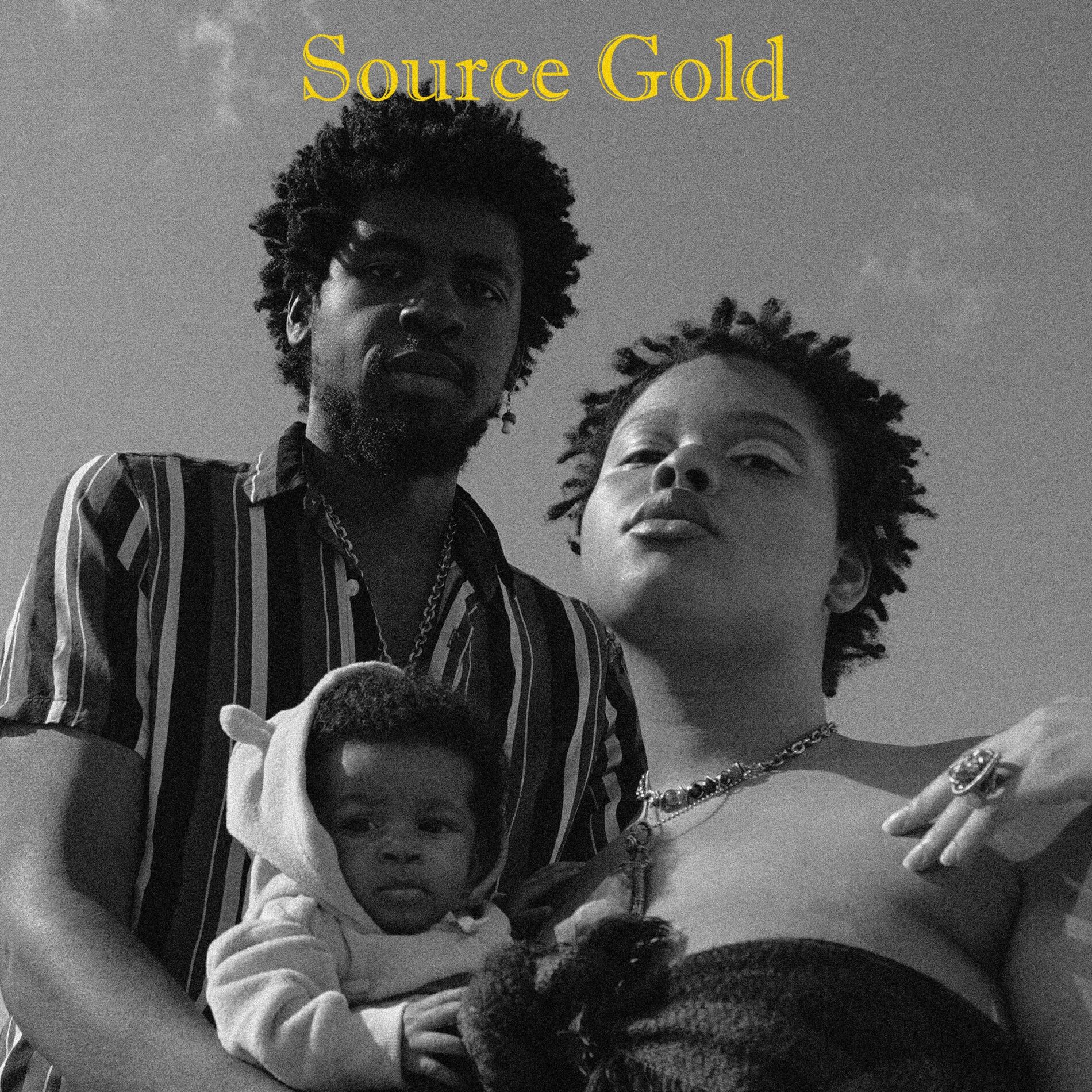 Album cover of Source Gold