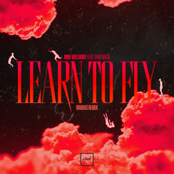 Learn To Fly (Brooks Remix)