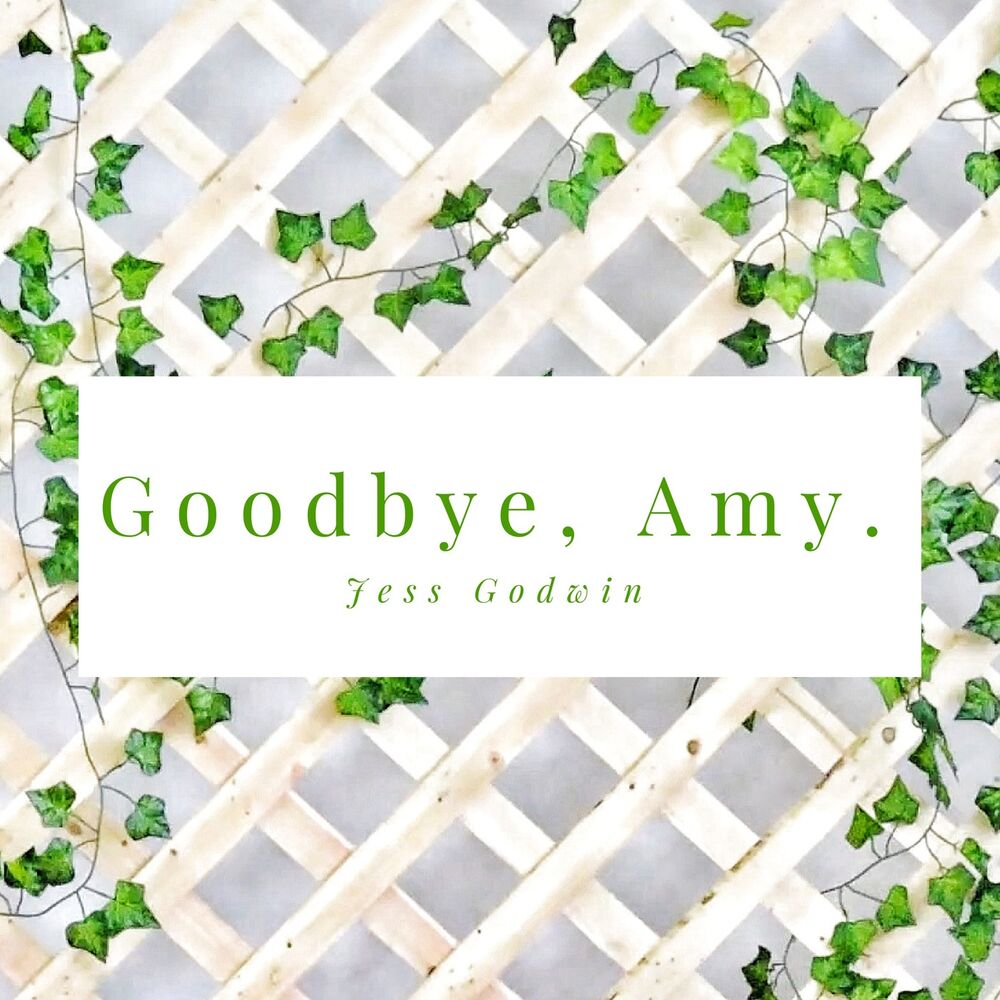 Picture of Goodbye Amy