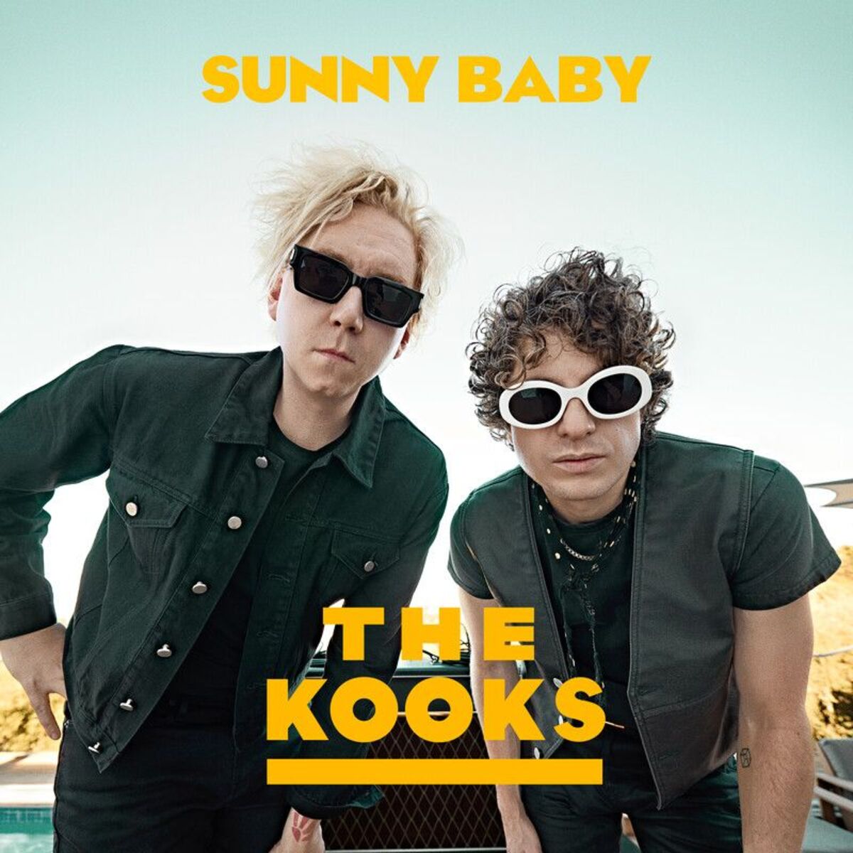 Album cover of Sunny Baby