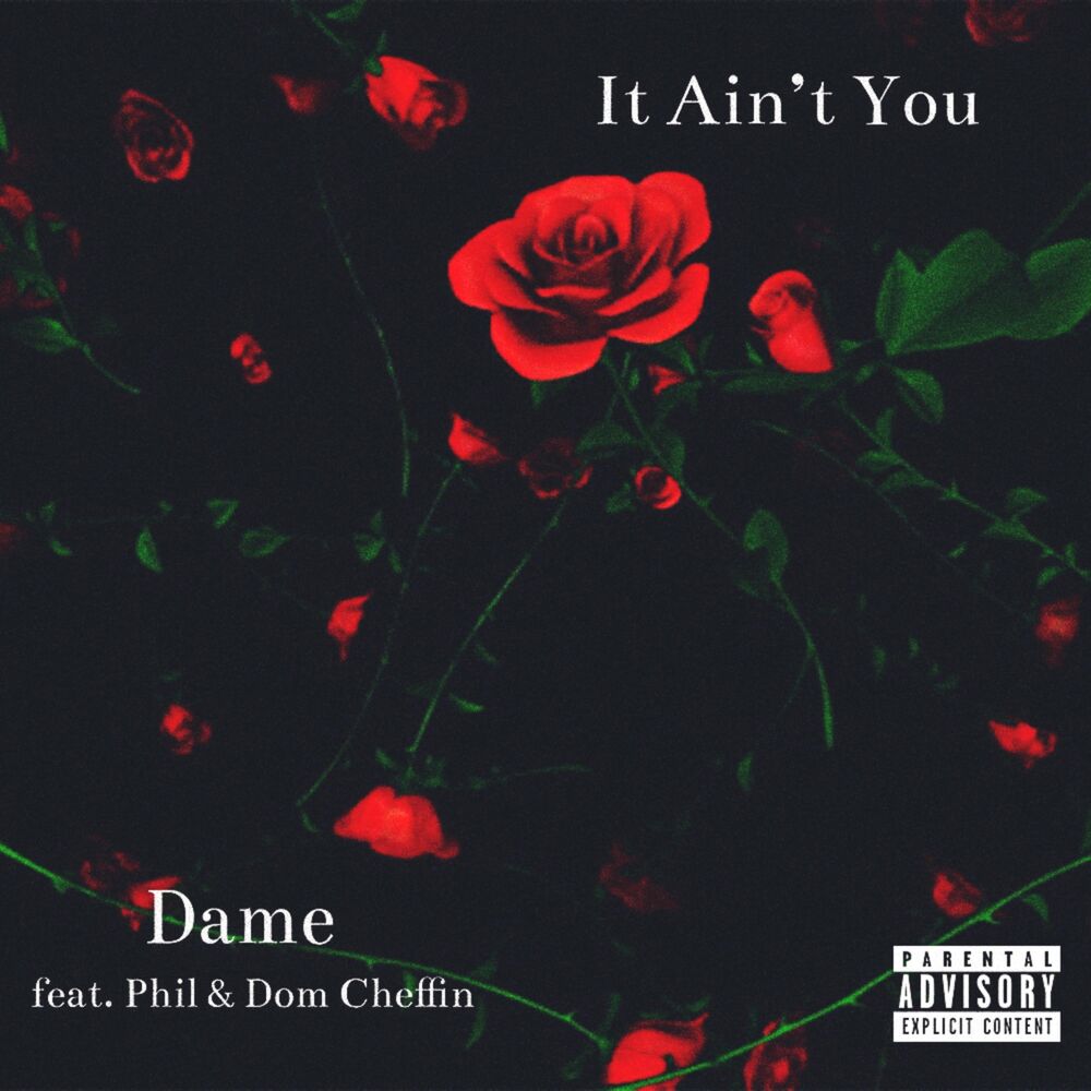Picture of It Ain't You (feat. Phil & Dom Cheffin)