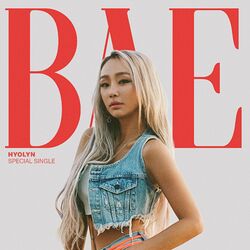 Cover of BAE