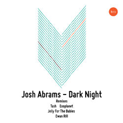 Cover of Dark Night