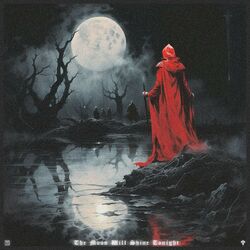 Cover of The Moon Will Shine Tonight